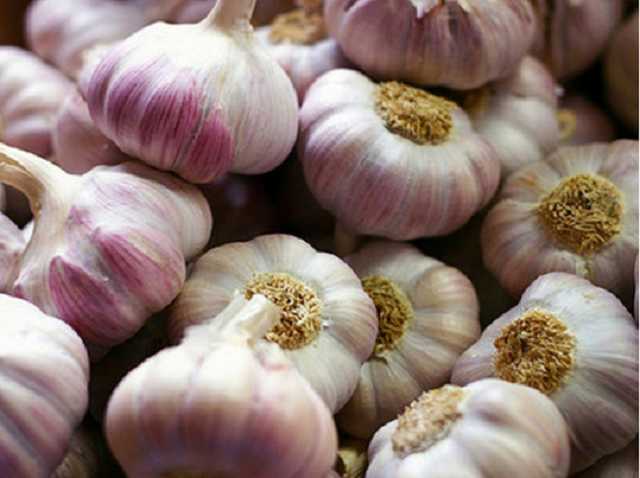 Промывать нос и налегать на чеснок бессмысленно: Супрун развенчала популярные фейки о COVID-19