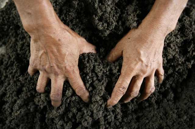 Экс-полицейский вместе с замглавы района захватили часть военного полигона в Харьковской области