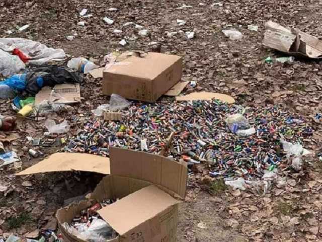 Настоящая жесть: в Киеве на пустырь выбросили тысячи батареек