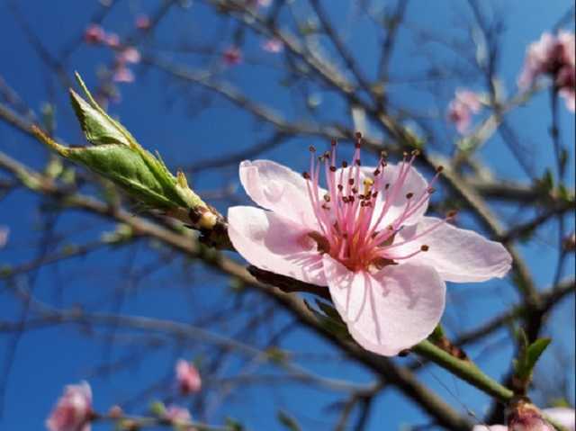 Март побил в Киеве рекорд по числу температурных рекордов