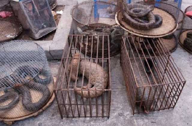 Каким будет мир после эпидемии коронавируса?