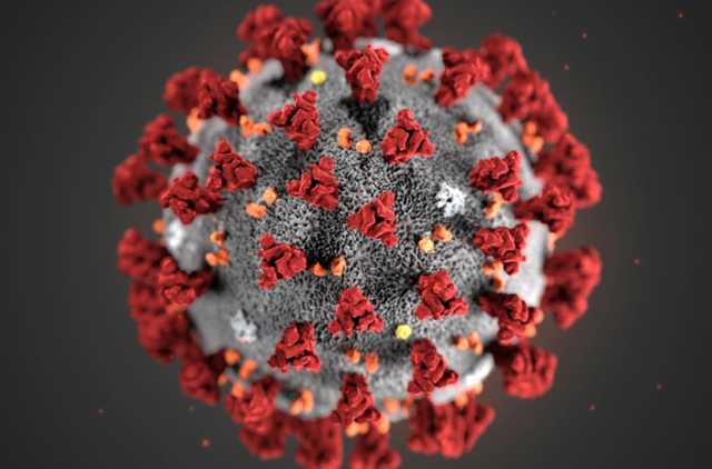 COVID-19 под микроскопом: удивительные фото