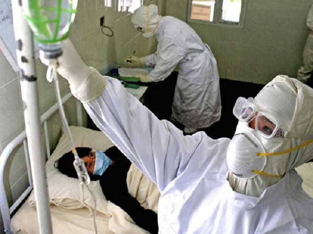  :  ,        COVID-19