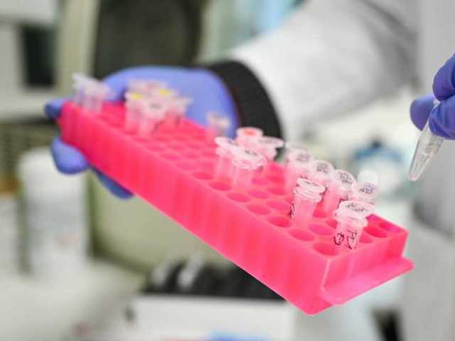 Врач-инфекционист прогнозировал ситуацию с распространением COVID-19 в ближайшие месяцы