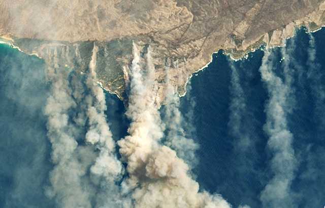 ГСЧС: Если ситуация с пожарами не изменится, к зиме выгорит вся страна