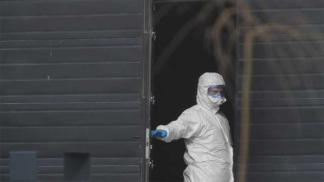 Россию накрывает полное безумие