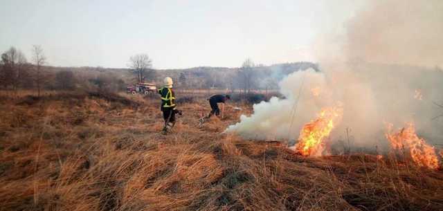 Згоріло 9 гектарів. Чоловіку, який двічі підпалив “Долину нарцисів”, оголосили підозру