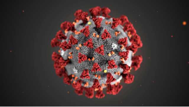 COVID-19 "невыгодно" быстро убивать людей: инфекционист раскрыл неожиданный нюанс