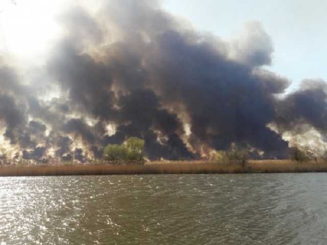 Черный дым видно за много километров: под Одессой вспыхнул пожар в природном парке