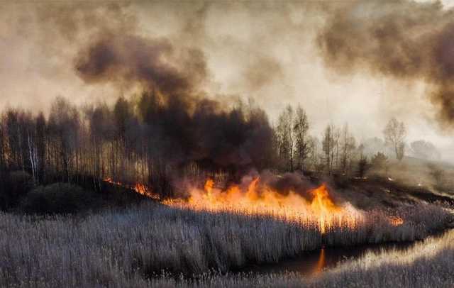 Чернобыль горит уже неделю. Убытки от пожара оценивают в десятки миллионов гривен