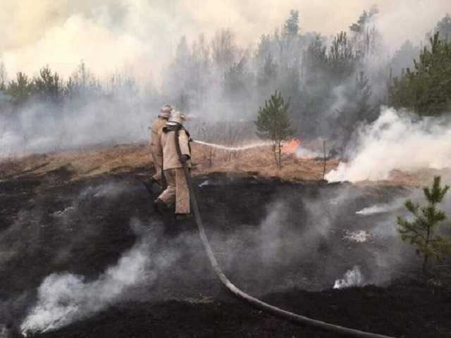 Все в черном дыму: появилось шокирующее видео пожара возле Чернобыльской АЭС