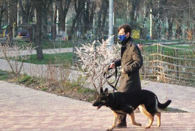 В Киеве заработала единая горячая линия по всем коронавирусным вопросам