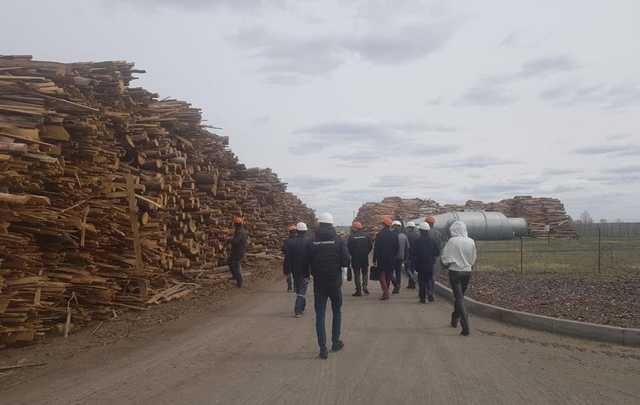 Под Киевом жгли древесину из Чернобыля: радиация попала в воздух