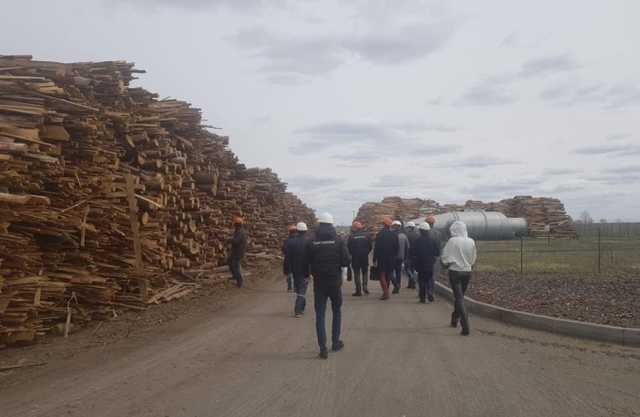 Чернобыльскими пожарами пытаются прикрыть незаконную вырубку леса, – источник