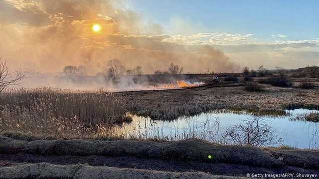 Пожары в Чернобыле и Житомирской области продолжают тушить. Задействованы больше тысячи пожарных