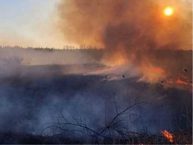 Пожары и пылевые бури будут повторяться: экологи озвучили тревожный прогноз