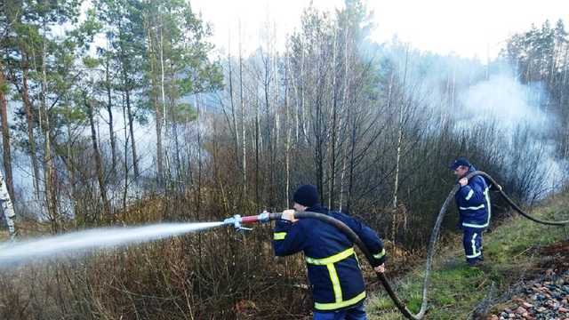 З осередку пожеж на Житомирщині евакуювали понад півсотні людей