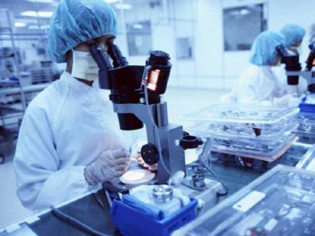 На пороге большого открытия: ученые создали модель развития коронавируса