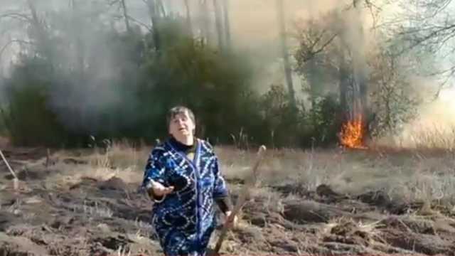 Полиция задержала подозреваемого в поджоге леса под Киевом
