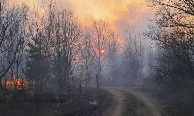 В Укргидрометцентре рассказали, какие области накроет дым с Чернобыля