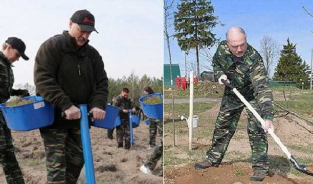 Действия Лукашенко в разгар пандемии COVID-19 озадачили сеть