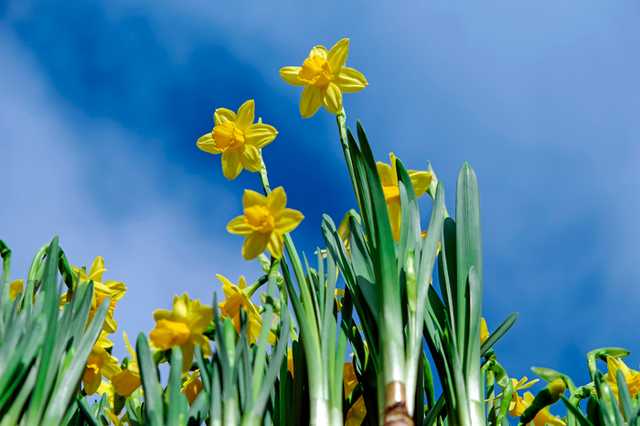 В Украину идет потепление: в каких регионах улучшится погода