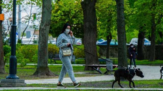 Ученые вычислили лекарства, которые потенциально могут лечить от коронавируса