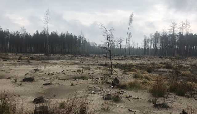 Блогер показав, звідки взялася піщана буря, яка нещодавно накрила Житомирщину та Київ