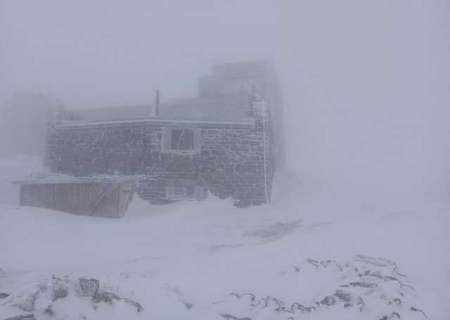 В Карпатах майская метель намела снежный покров до 15 сантиметров