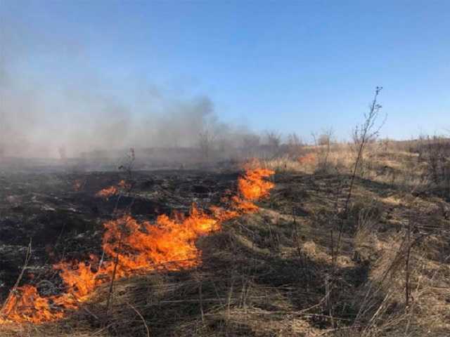 Под Киевом сжигавшие сухую траву нацгвардейцы напали на мужчину, сделавшего им замечание