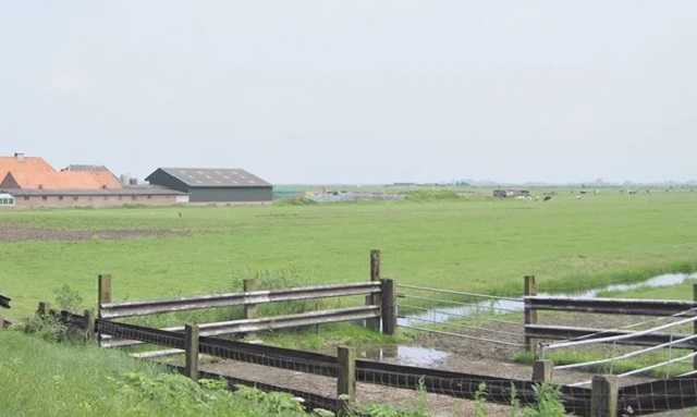 Запорожский суд разрешил не надевать маску на огороде