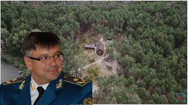 Екскерівнику Волинської митниці віддали зоологічний заказник на 20 років