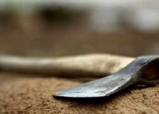 Убила топором: на Днепропетровщине женщину приговорили к 9 годам лишения свободы