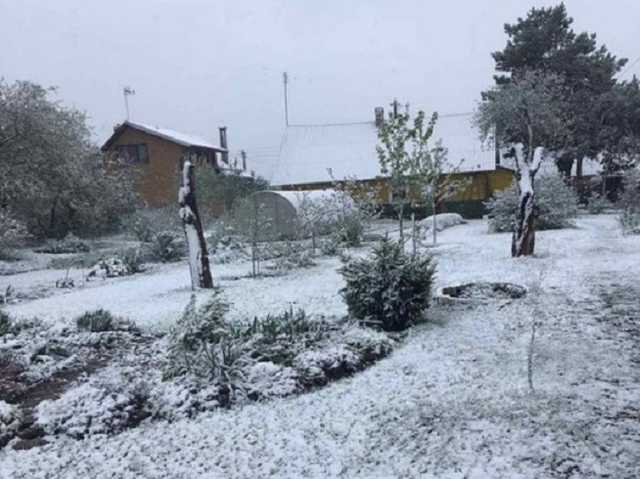 Польшу и Беларусь засыпало снегом