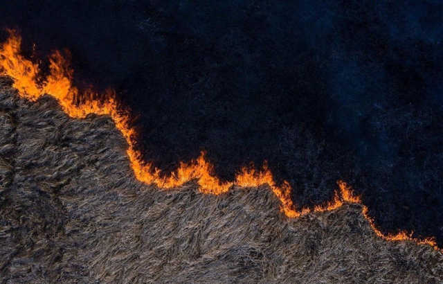 У Чорнобильській зоні ліквідували всі лісові пожежі, – Зеленський