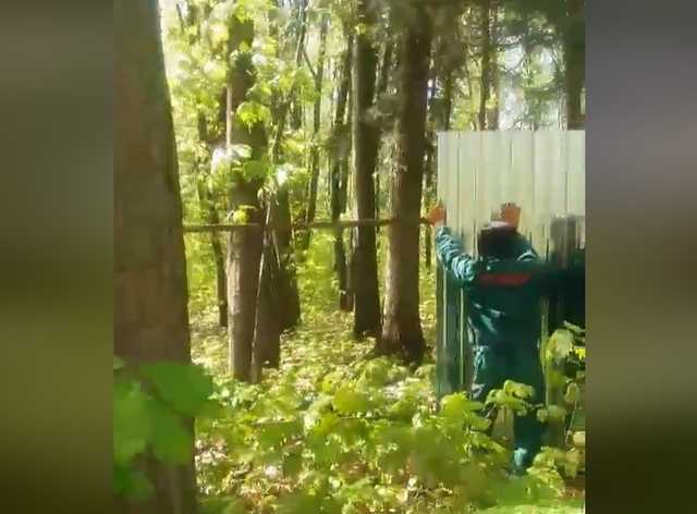 Решетилова: На окраине Житомира захватили лес под строительство завода