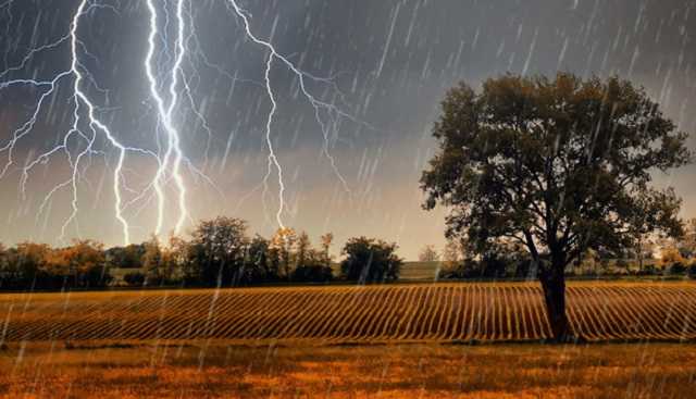 Как по прогнозу погоды в Украине ударил COVID-19: синоптики приоткрыли закулисье