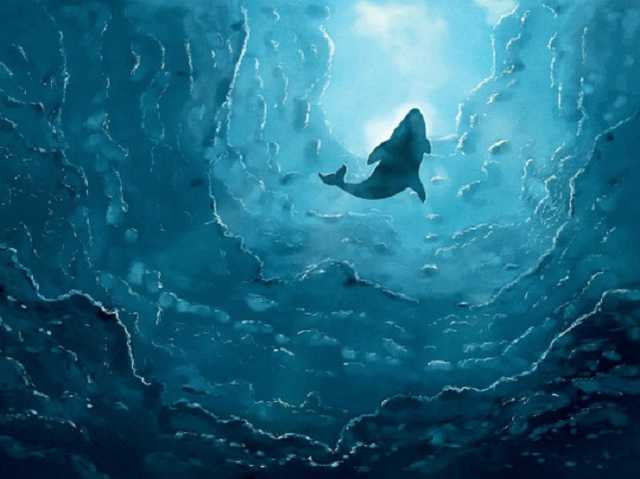 Украинец в Польше пытался возродить смертельно опасную игру "Синий кит"