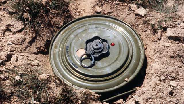 Путин "засеял" минами 21 тысячу квадратных километров Украины