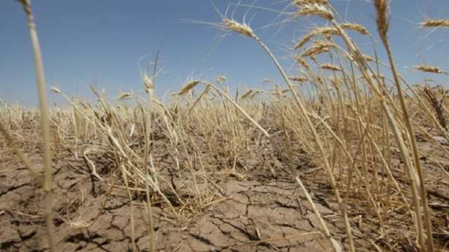 Фермер, покончивший с собой из-за потери урожая, оставил предсмертную записку