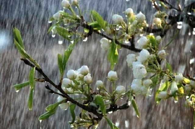 В Украину вернутся дожди: появился прогноз погоды по регионам