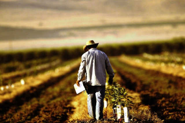 В Украине еще один фермер покончил с собой из-за потери урожая