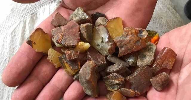 На Закарпатті виявили склад бурштину який готували до нелегального переміщення за кордон