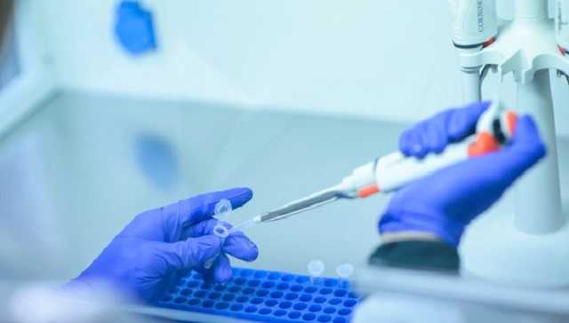 Наподобие Covid-19: ученые предрекли миру новую пандемию