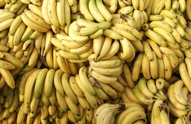 В бананах из Эквадора. В Роттердаме изъяли кокаин на 170 миллионов долларов