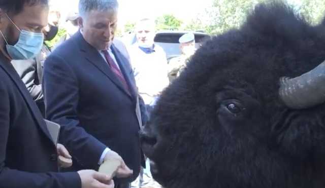 Аваков пообщался с животными вслед за Богданом