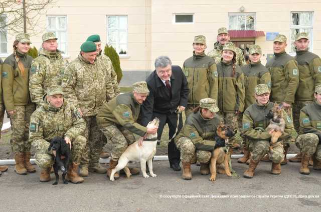 В кинологическом центре погранслужбы «потеряли» обмундирование и бронежилеты на 900 тысяч гривен
