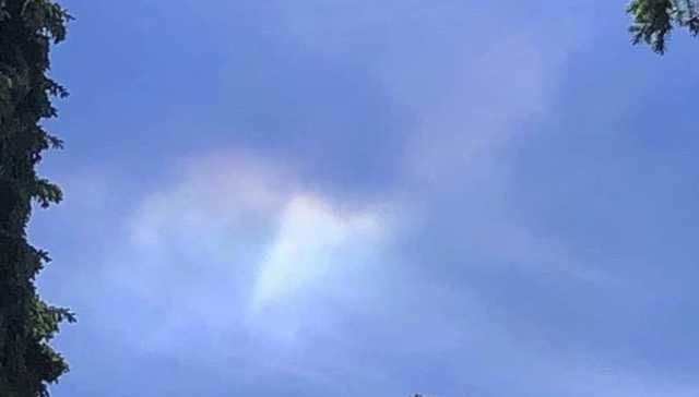 На Троицу в Киеве заметили удивительное природное явление