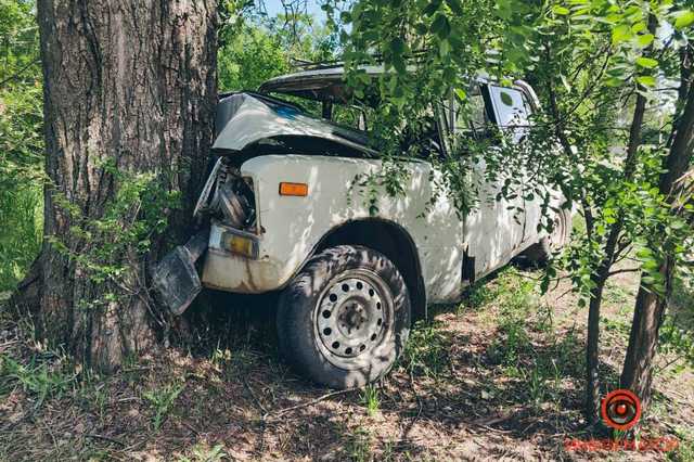 В Днепре ВАЗ влетел в дерево: пострадали три человека