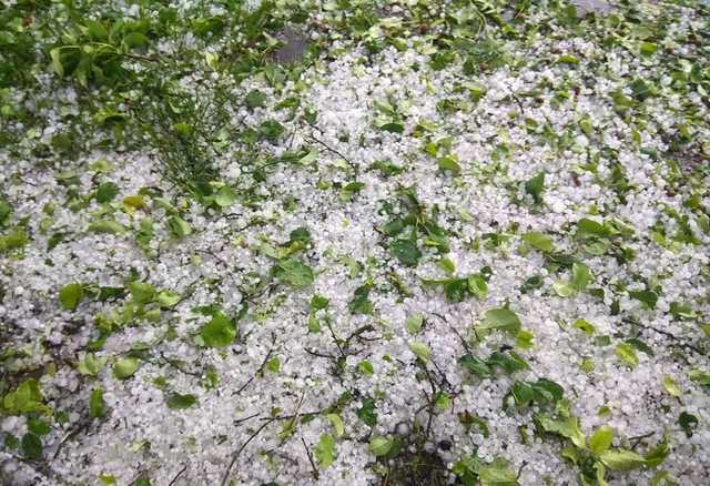 «Ничего не осталось»: крупный град уничтожил урожай на Волыни